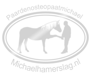 Paardenosteopaat Michael Hamerslag